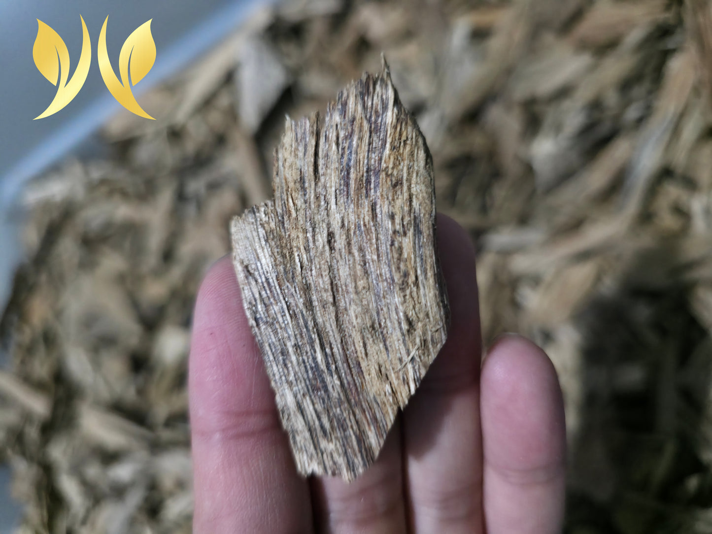ABI Pure Agarwood